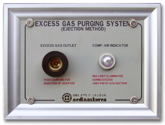 Excess Gas Purger